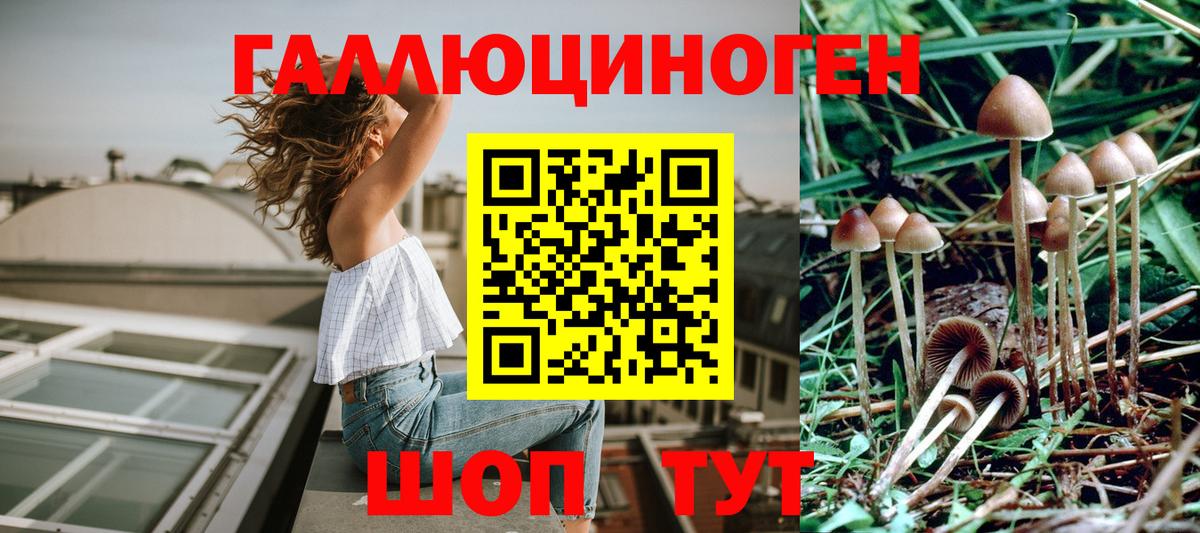 Сухой Лог  Псилоцибиновые грибы мухоморы  сколько стоит  Вход с VPN 
